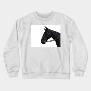 Poppy Crewneck Sweatshirt